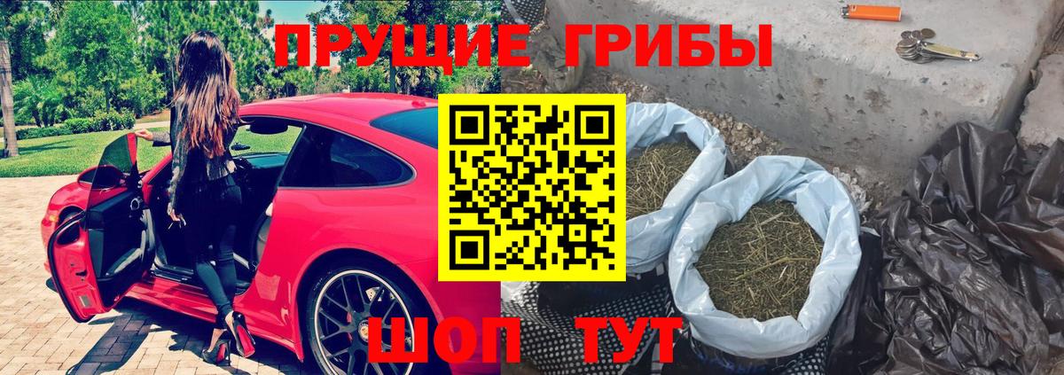 где найти   Псилоцибиновые грибы GOLDEN TEACHER  Рыбинск  Вход с VPN  Галлюциногенные грибы MAGIC MUSHROOMS 