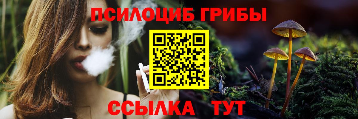Галлюциногенные грибы Psilocybine cubensis Рыбинск